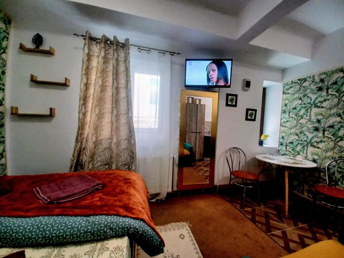 Studio Republicii Apartment Brasov Ngoại thất bức ảnh