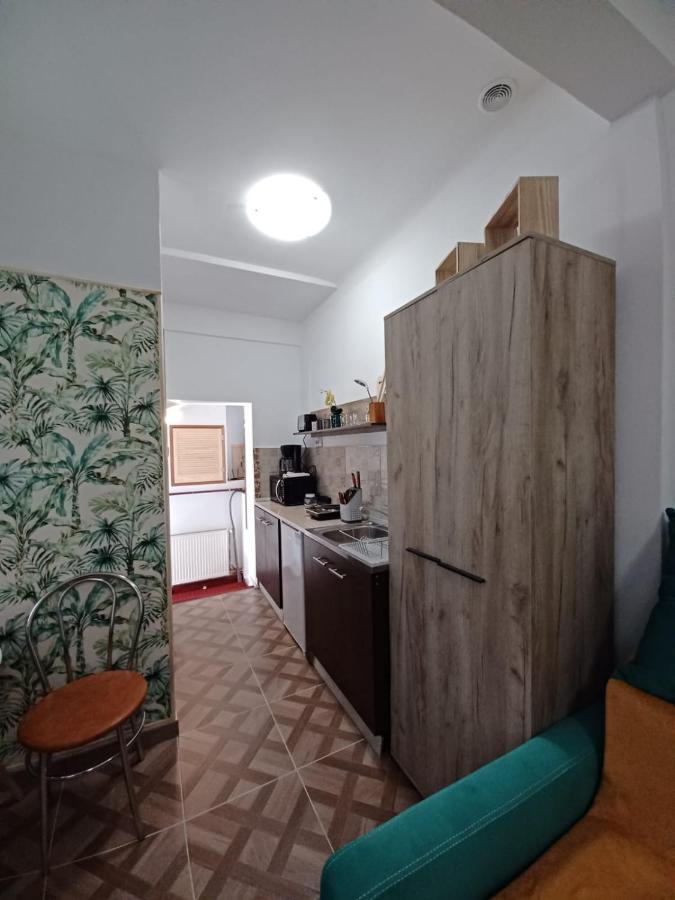Studio Republicii Apartment Brasov Ngoại thất bức ảnh