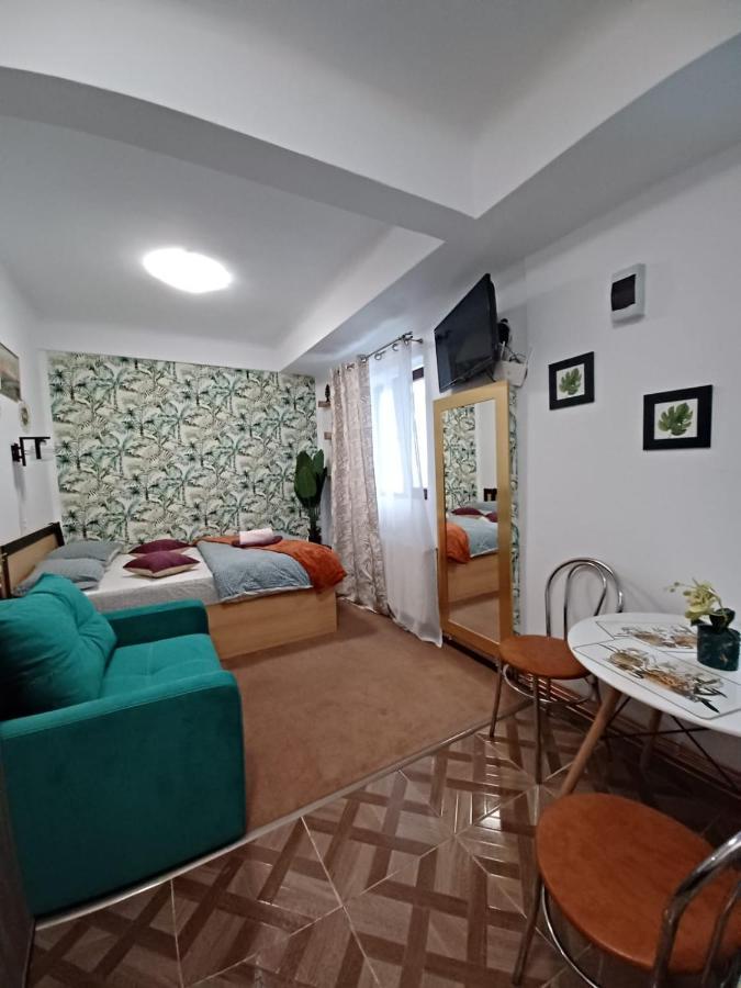 Studio Republicii Apartment Brasov Ngoại thất bức ảnh
