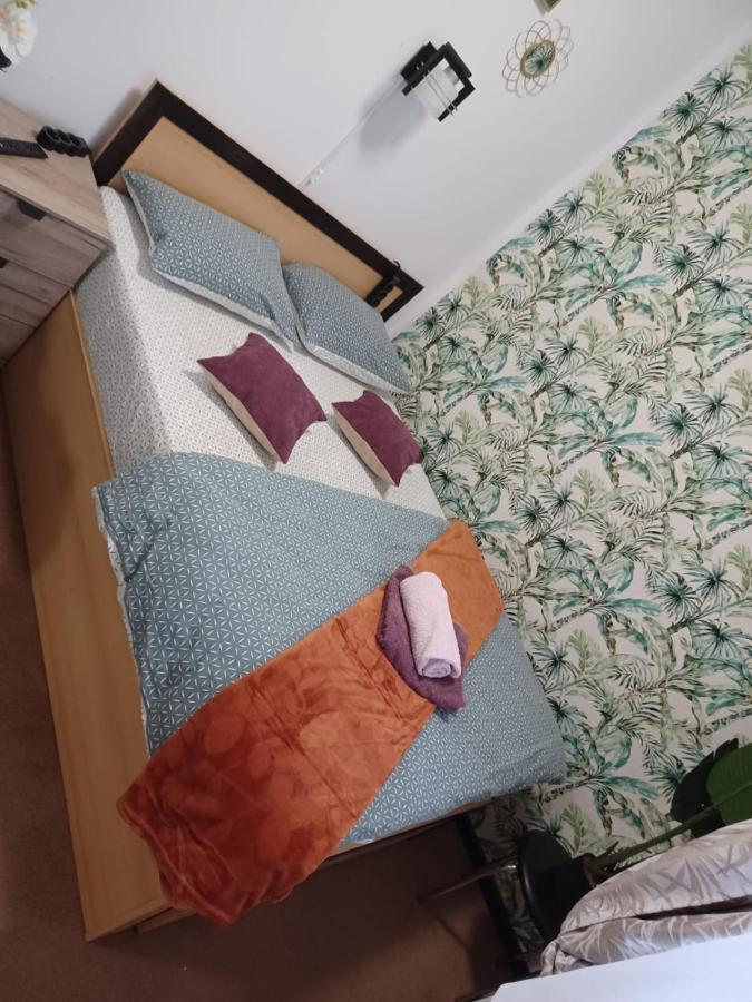 Studio Republicii Apartment Brasov Ngoại thất bức ảnh